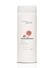 shampoo da linha cor viva para cabelos coloridos