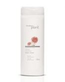 shampoo da linha cor viva para cabelos coloridos