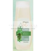 SHAMPOO RECONSTRUTOR MAMONA 250 ML ABELHA RAINHA